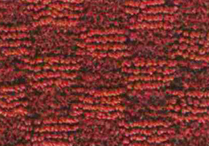葡萄紅 Burgundy