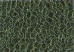 綠　Green