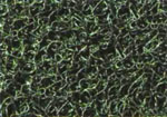 綠　Green